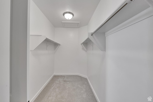 4053 W 2025 S Unit 40, Taylor, UT 84401 - spacious closet with light carpet