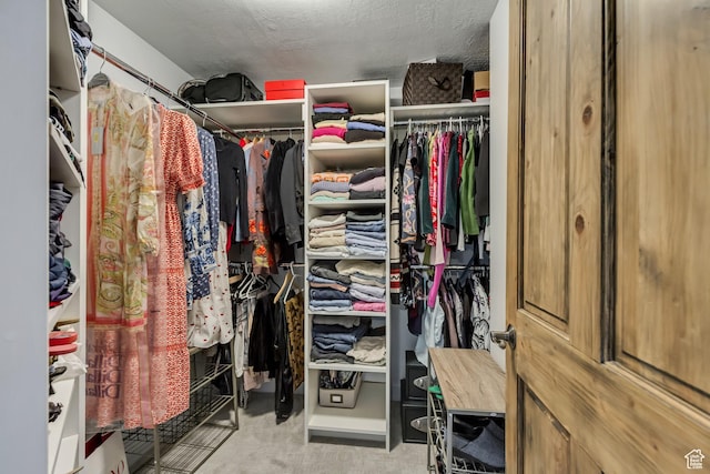 6641 N 2200 W Unit D-304, Park City, UT 84098 - spacious closet with carpet