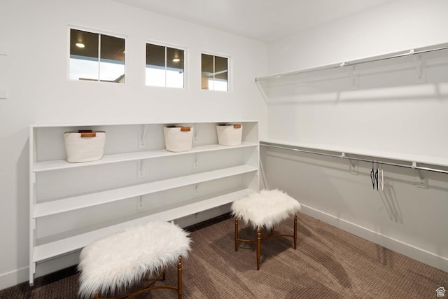 1513 E 820 N Unit 105, Salem, UT 84653 - walk in closet featuring carpet