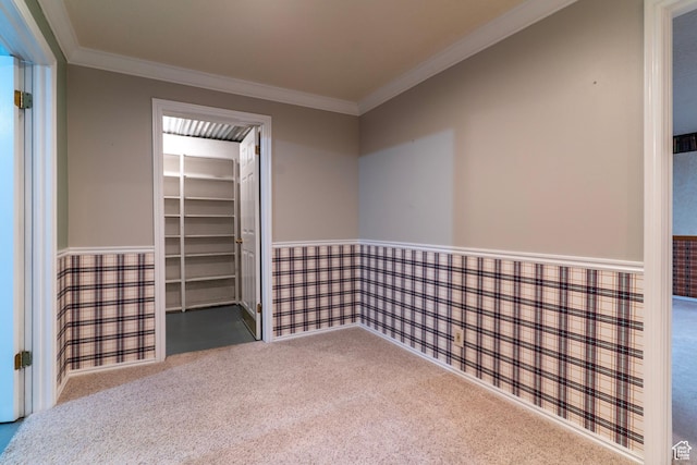 unfurnished bedroom with carpet, ornamental molding, wainscoting, a walk in closet, and a closet