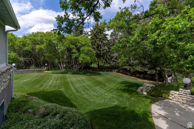 view of green lawn