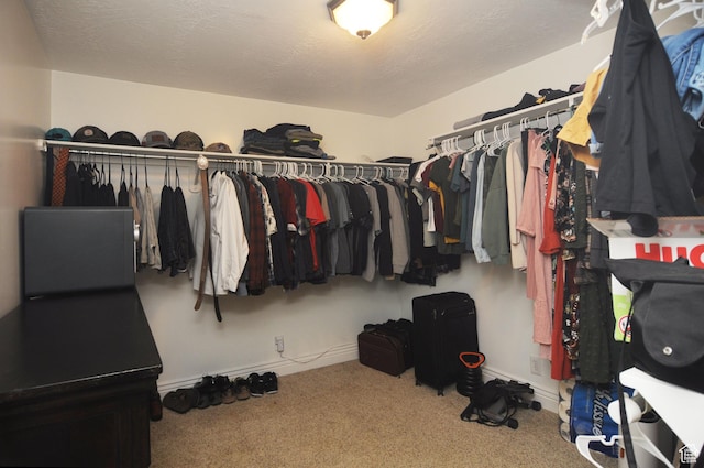 spacious closet featuring carpet flooring