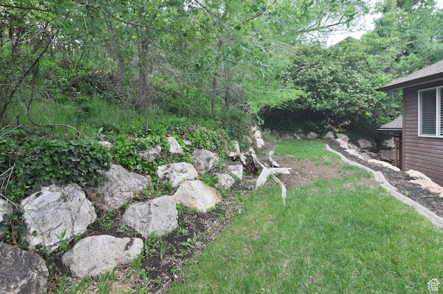 view of grassy yard