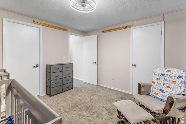 396 S 100 E, Tooele, UT 84074 - carpeted bedroom with a textured ceiling