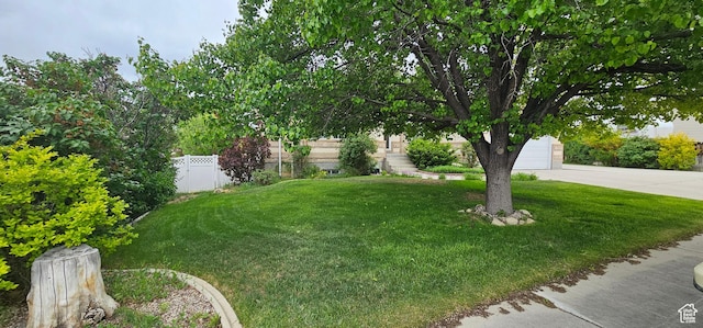 view of yard with a garage and concrete driveway