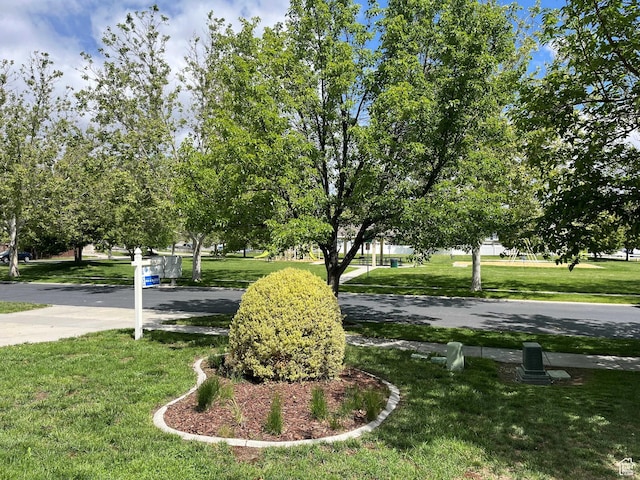 view of community with a lawn