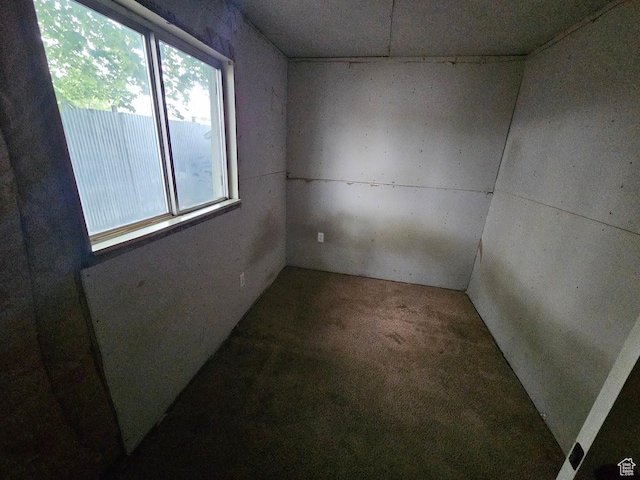 139 E 4th S, Preston, ID 83263 - view of carpeted spare room
