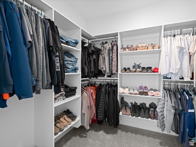 spacious closet with carpet flooring