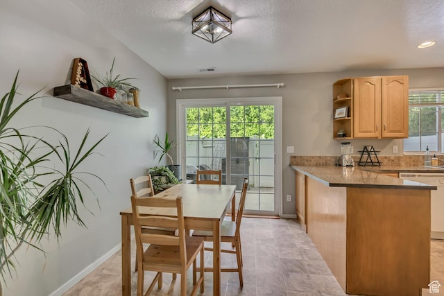 dining area featuring baseboards and a textured ceiling