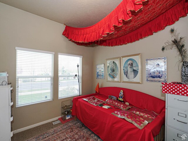 3263 W Blue Moon Ln, South Jordan, UT 84095 - bedroom with multiple windows, carpet floors, and baseboards
