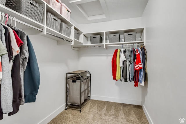 spacious closet with attic access and carpet floors