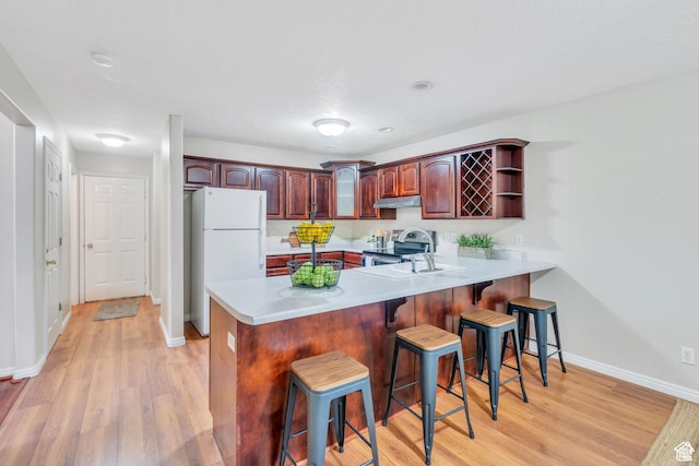 1140 E Elgin Ave S, Millcreek, UT 84106 - kitchen with freestanding refrigerator, stainless steel range with electric stovetop, under cabinet range hood, a peninsula, and light wood finished floors