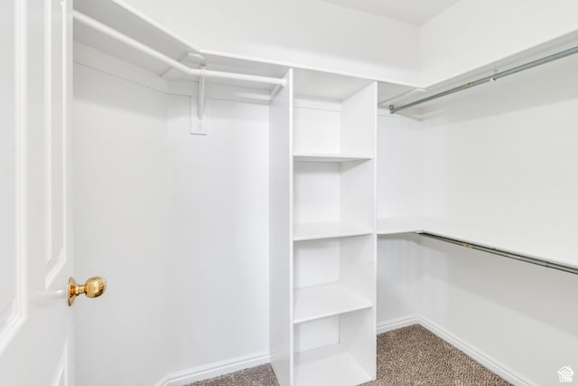 1140 E Elgin Ave S, Millcreek, UT 84106 - walk in closet featuring dark carpet