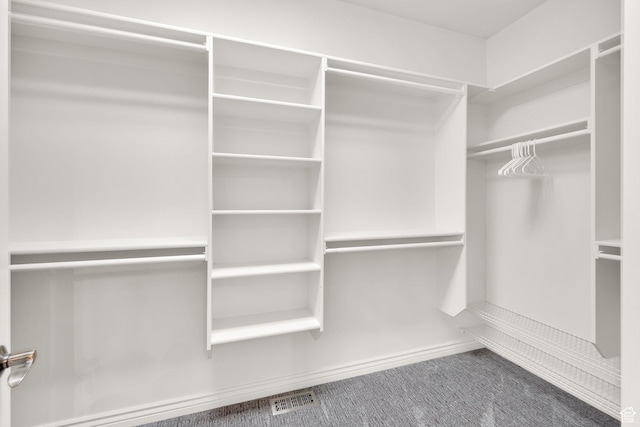 spacious closet with carpet flooring
