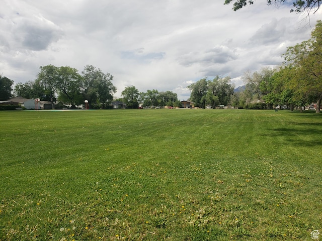 view of grassy yard