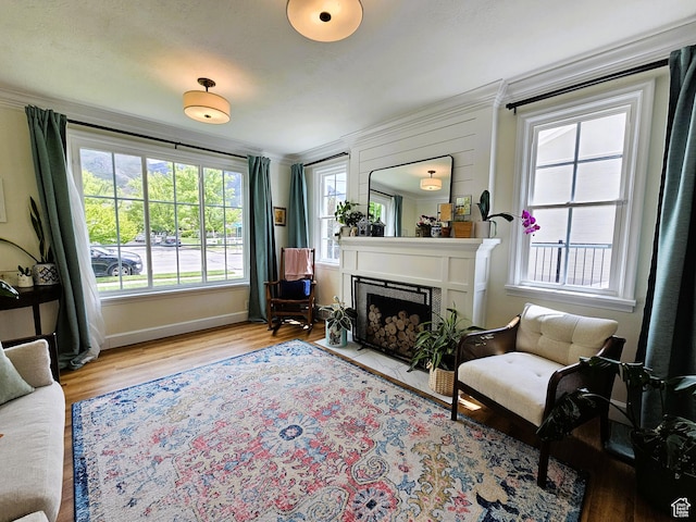 44 S 700 E, Provo, UT 84606 - living area with wood finished floors, crown molding, a fireplace, and baseboards