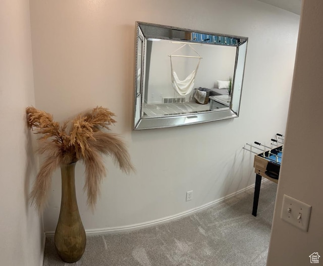 1347 S 1370 E, Provo, UT 84606 - detailed view of carpet flooring and baseboards