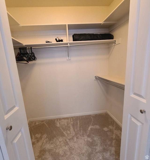 1347 S 1370 E, Provo, UT 84606 - walk in closet featuring carpet floors