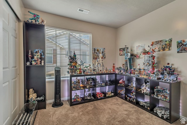6297 W Traveler Ln, West Jordan, UT 84081 - miscellaneous room featuring carpet and baseboards