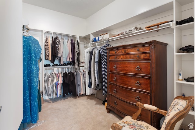 spacious closet with light carpet