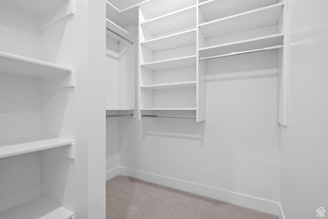 spacious closet with carpet flooring