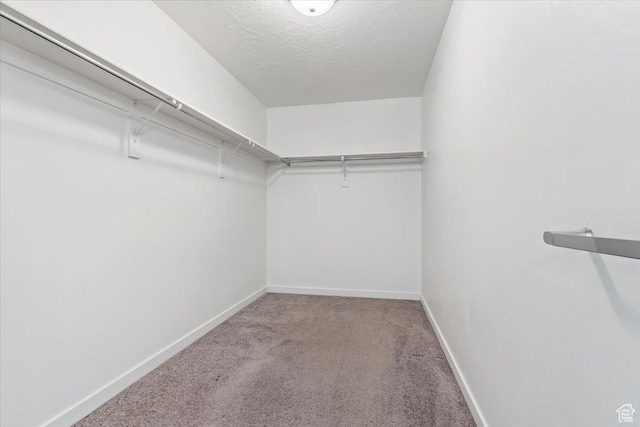 spacious closet with carpet flooring