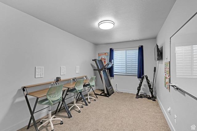 200 W 1200 S Unit 18, Tremonton, UT 84337 - exercise area featuring baseboards, carpet floors, and a textured ceiling