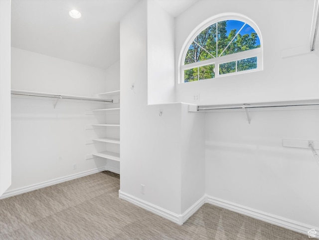 3351 E Deer Hollow Cir S, Sandy, UT 84092 - spacious closet with carpet floors
