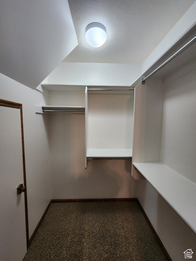 walk in closet with carpet flooring