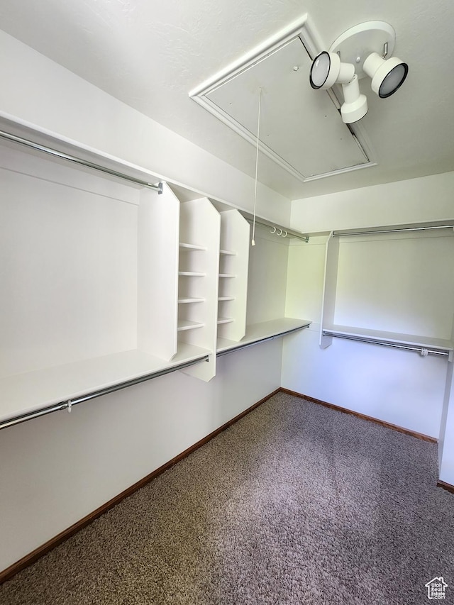 11258 S Brandon Park Dr E, Sandy, UT 84092 - spacious closet featuring attic access and carpet floors