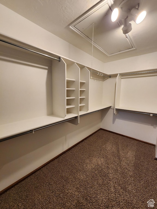 spacious closet with attic access and carpet