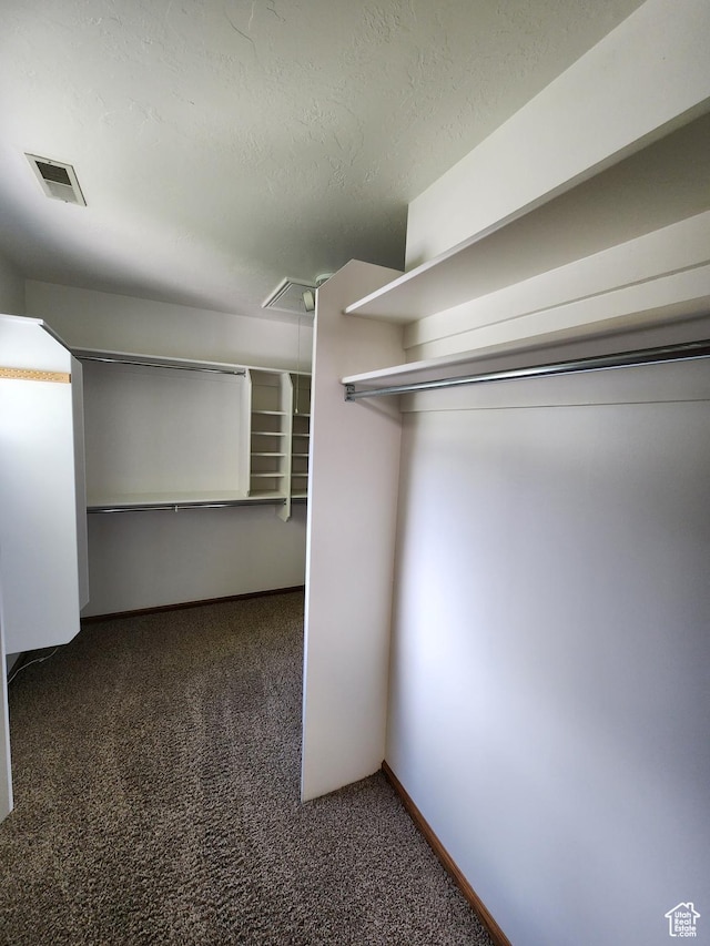 11258 S Brandon Park Dr E, Sandy, UT 84092 - spacious closet with attic access and carpet flooring
