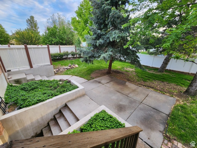 view of yard featuring a patio