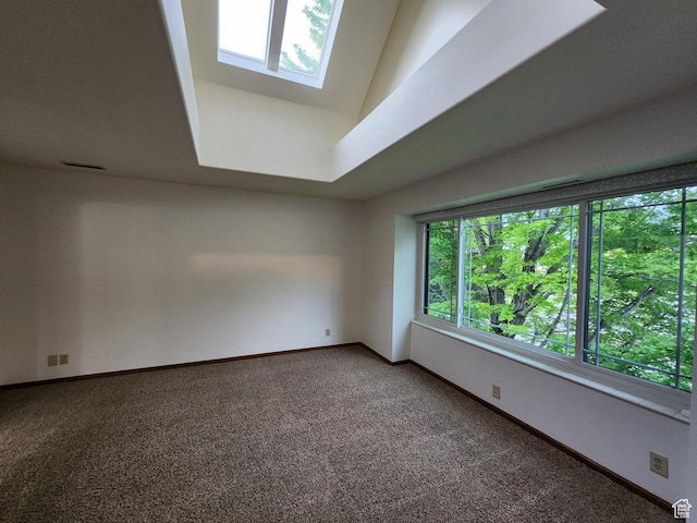spare room with a skylight, carpet, and baseboards