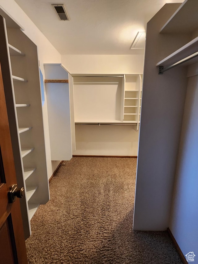 walk in closet featuring carpet