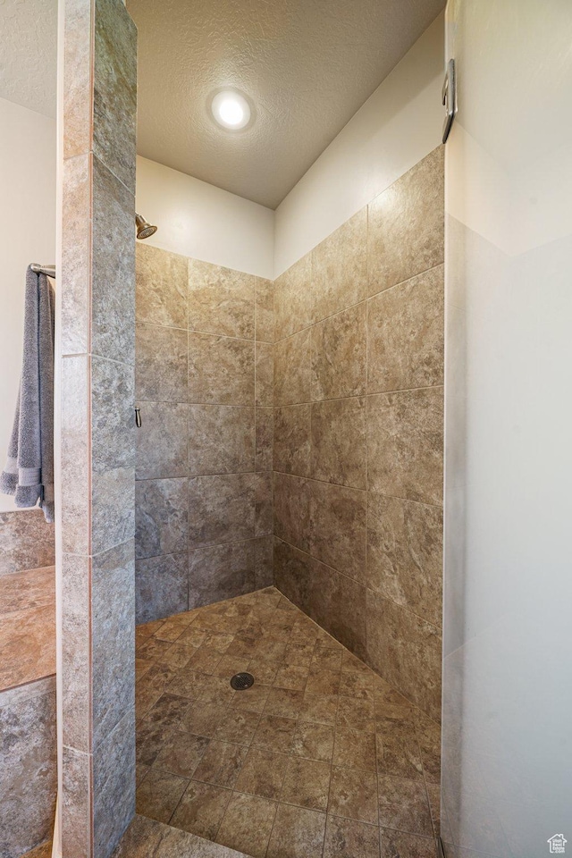 607 N 1980 E Unit 139, Spanish Fork, UT 84660 - full bath featuring a textured ceiling and a tile shower