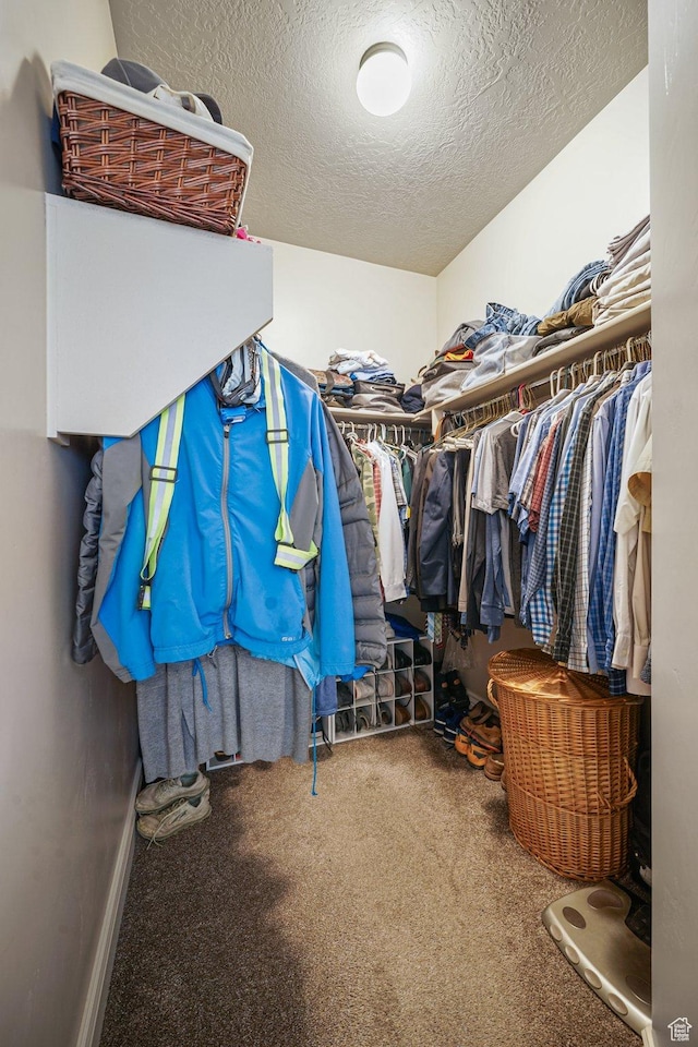 607 N 1980 E Unit 139, Spanish Fork, UT 84660 - spacious closet with carpet flooring