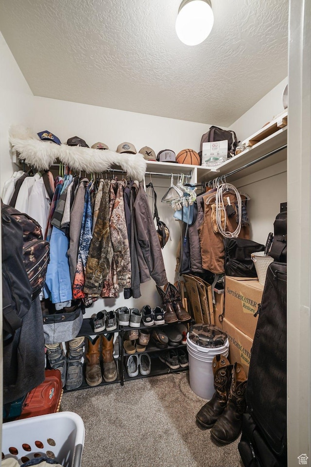 607 N 1980 E Unit 139, Spanish Fork, UT 84660 - spacious closet featuring carpet flooring