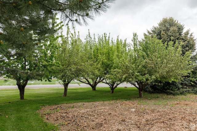 540 N 100 E, Hyde Park, UT 84318 - view of grassy yard