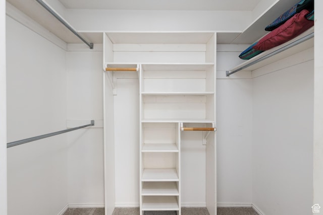 540 N 100 E, Hyde Park, UT 84318 - spacious closet featuring carpet
