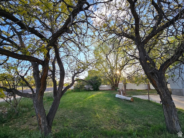 521 N 2400 W, Vernal, UT 84078 - view of green lawn