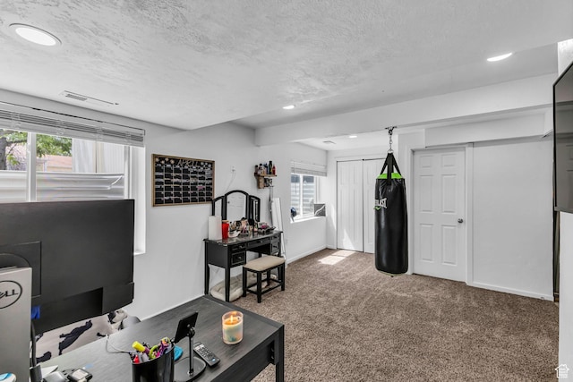 5884 S Impressions Dr W, Salt Lake City, UT 84118 - carpeted home office with a textured ceiling, recessed lighting, healthy amount of natural light, and baseboards