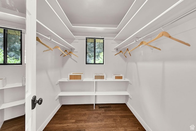 3348 E Stonehill Ln, Cottonwood Heights, UT 84121 - spacious closet featuring wood finished floors and a tray ceiling
