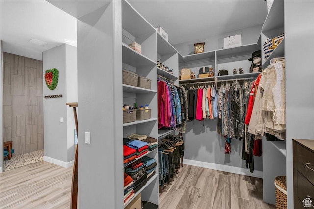 1865 N Park Grove Dr, Washington, UT 84780 - spacious closet with wood finished floors