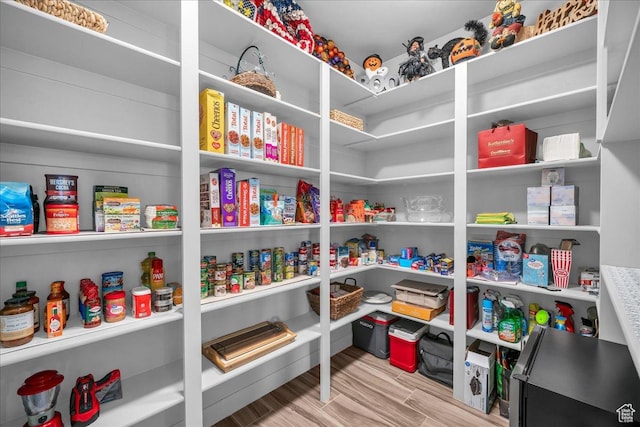 1865 N Park Grove Dr, Washington, UT 84780 - view of pantry