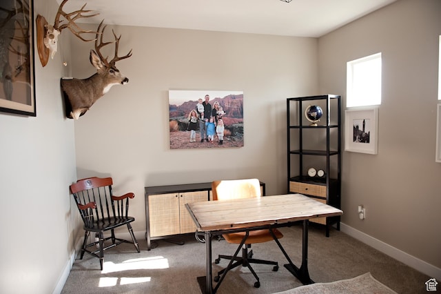 224 S Dry Creek Ln W, Vineyard, UT 84058 - carpeted office space with baseboards