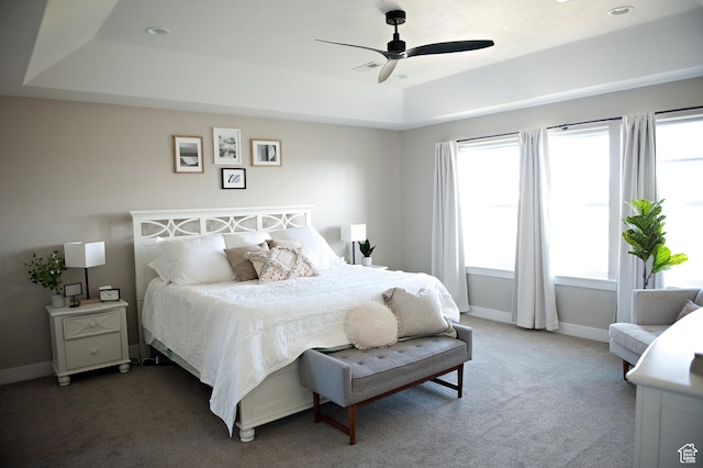 224 S Dry Creek Ln W, Vineyard, UT 84058 - bedroom with a tray ceiling, carpet flooring, and baseboards