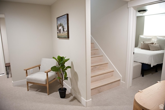 224 S Dry Creek Ln W, Vineyard, UT 84058 - staircase with carpet flooring and baseboards