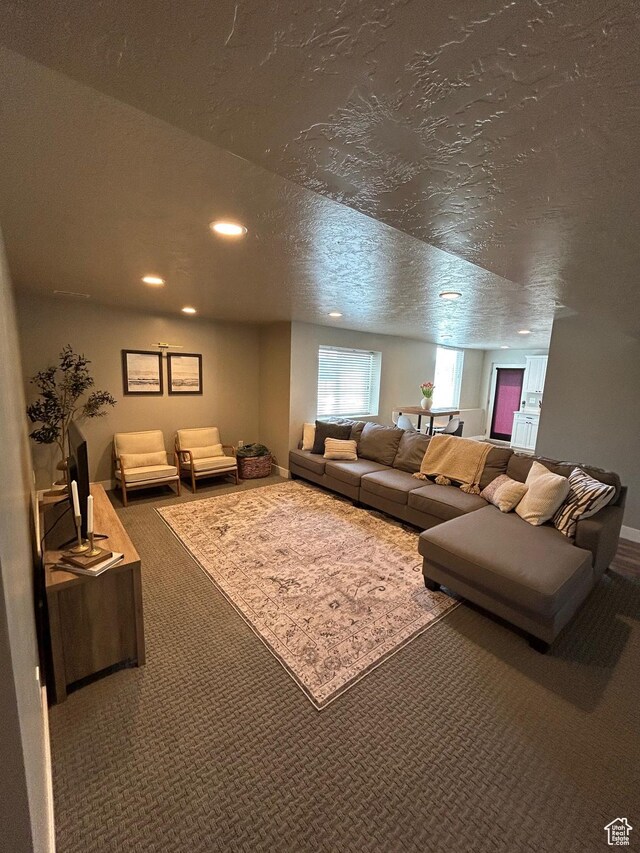 224 S Dry Creek Ln W, Vineyard, UT 84058 - carpeted living area with recessed lighting and a textured ceiling