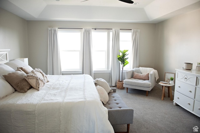 224 S Dry Creek Ln W, Vineyard, UT 84058 - bedroom featuring a raised ceiling, carpet flooring, and a ceiling fan